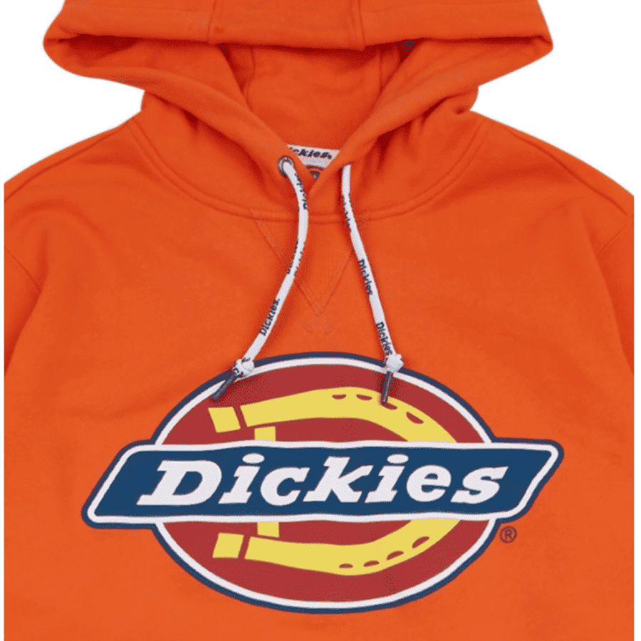 ao-hoodie-dickies-classic-logo-orange-dk006863og81