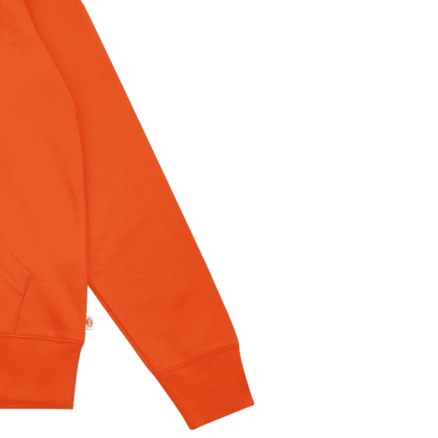 ao-hoodie-dickies-classic-logo-orange-dk006863og81