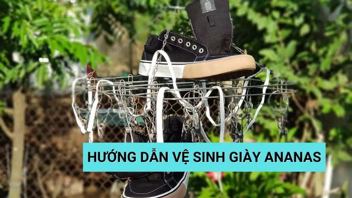 Hướng Dẫn Vệ Sinh Giày Ananas Đúng Cách