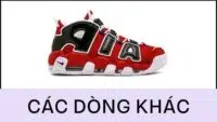 Các dòng bóng rổ Nike khác
