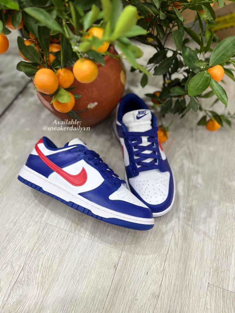 giày nike dunk low usa (w) dd1503-119