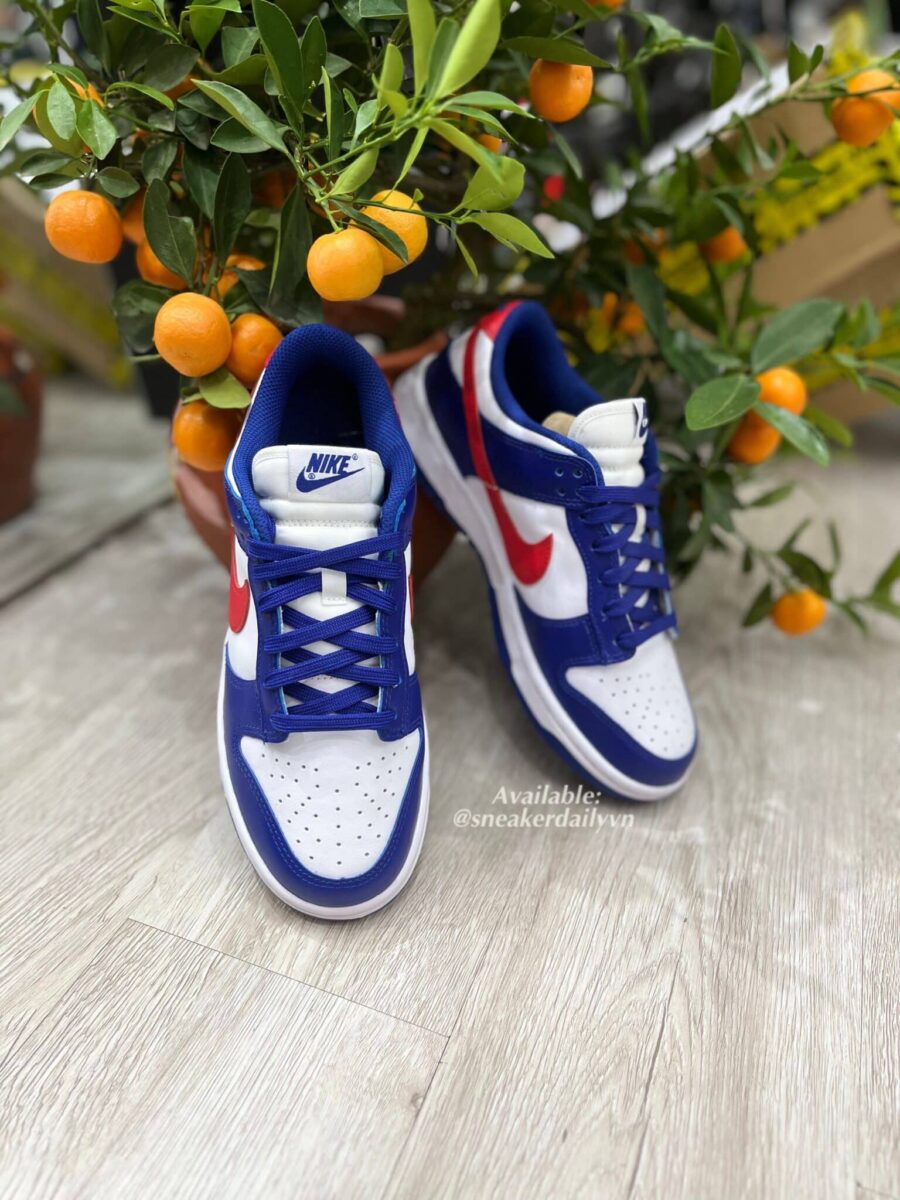 giày nike dunk low usa (w) dd1503-119