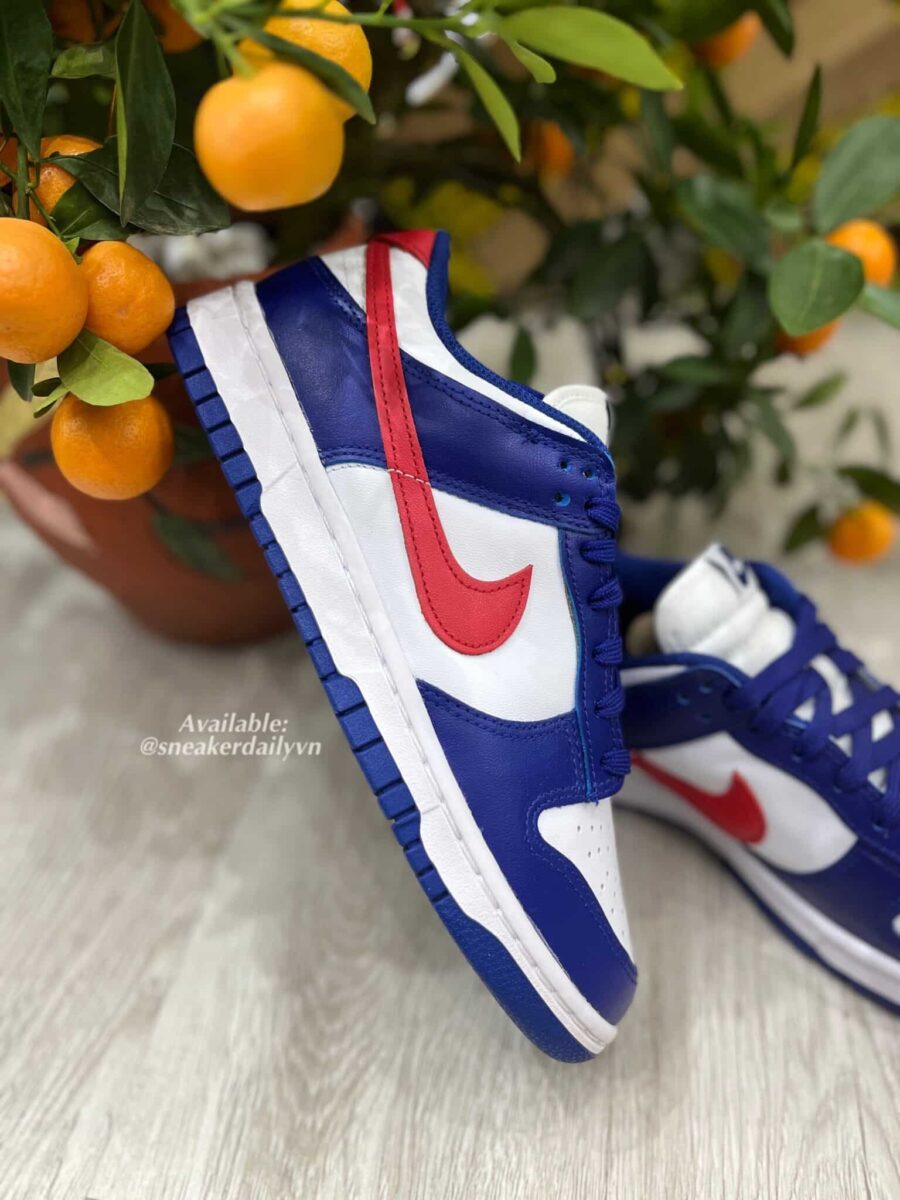 giày nike dunk low usa (w) dd1503-119