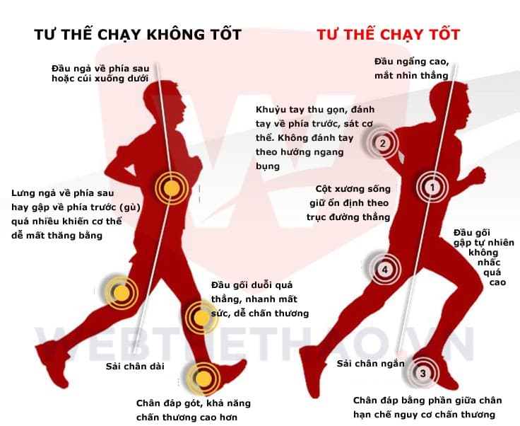 hướng dẫn chạy bộ cho người mới bắt đầu chi tiết nhất từ a - z