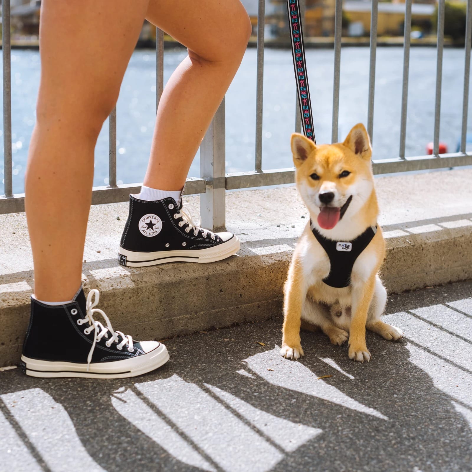 Converse Chuck Taylor