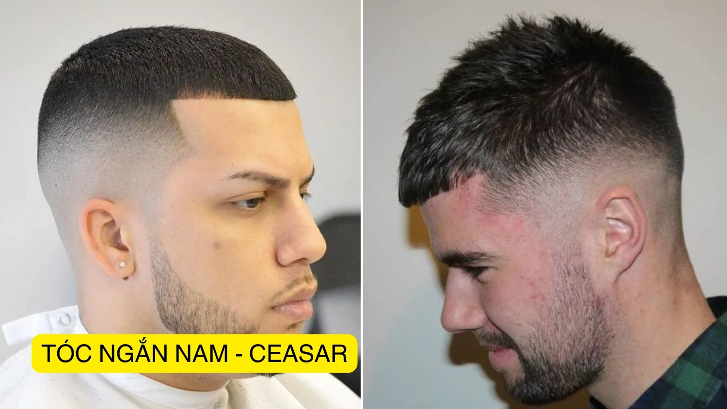 tóc ngắn nam - ceasar