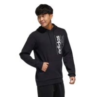 áo adidas brilliant basics hoodied sweatshirt fm6016
