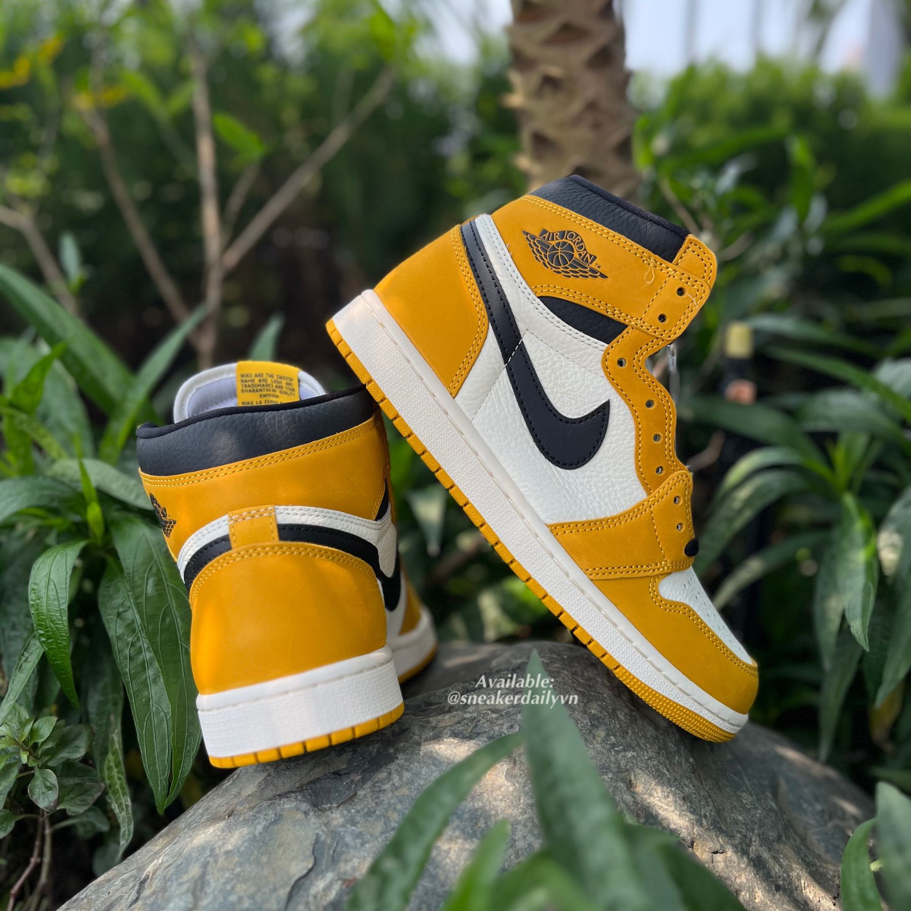 Giày Air Jordan 1 Retro High OG 'Yellow Ochre' DZ5485-701