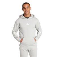 áo adidas future icons 3-stripes hoodie 'grey' ir9162