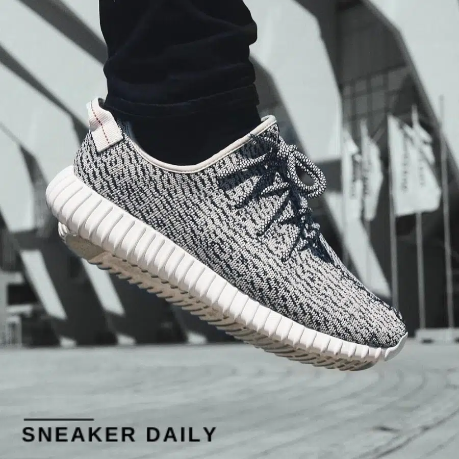 Giay adidas Yeezy Boost 350 Turtle Dove AQ4832