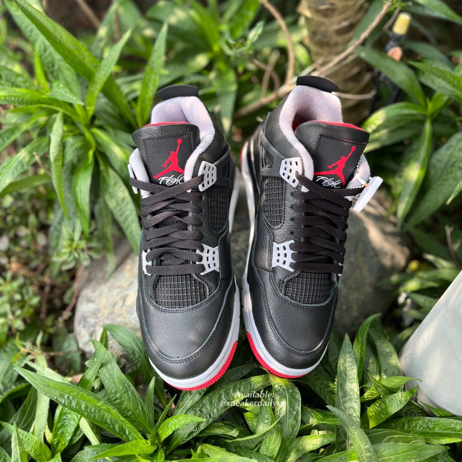 Giày Nike Air Jordan 4 Retro Bred Reimagined Fv5029 006 4759