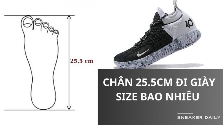 Chan 25.5cm đi giay size bao nhieu