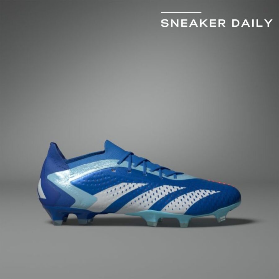 giày adidas predator accuracy.1 low fg 'bright royal blue' gz0031