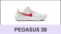 Pegasus 39