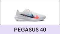 Pegasus 40