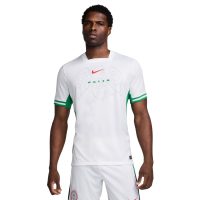 áo nigeria 2024 stadium home men's nike dri-fit football replica shirt fq8837-100