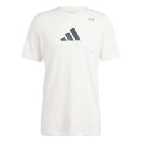 áo adidas aeroready all-gym category graphic tee - white is2363