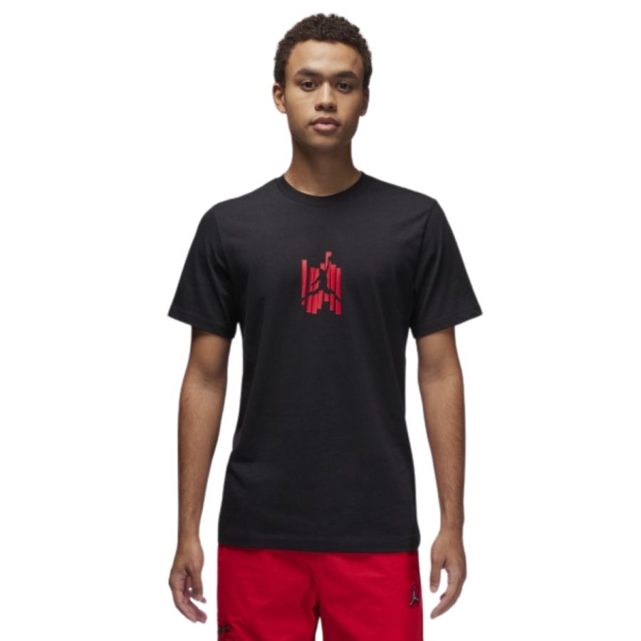 áo jordan brand men's graphic t-shirt fd7026-010