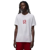 áo jordan brand men's graphic t-shirt fd7026-100