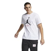 áo jordan jumpman flight men's t-shirt ao0665-100