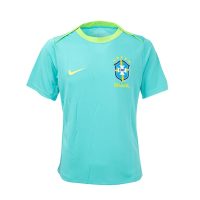 áo nike brazil academy pro - men's dri-fit soccer top fj2756-445