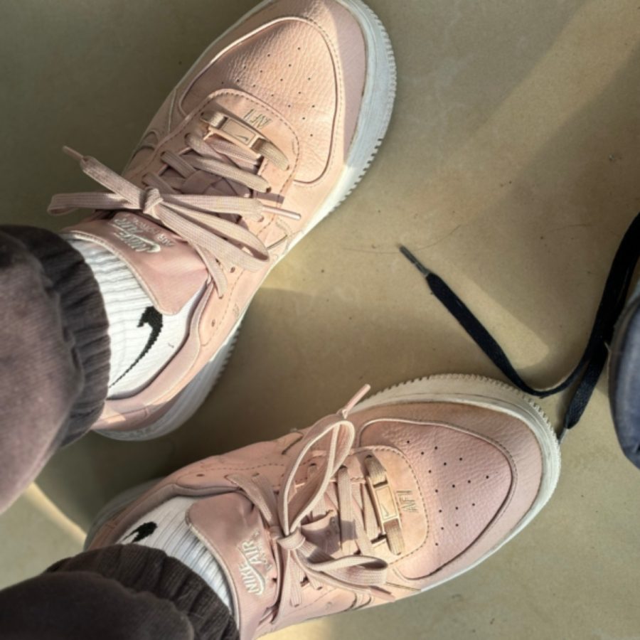 giày nike air force 1 fossil ‘pink rose’ dj9946-602