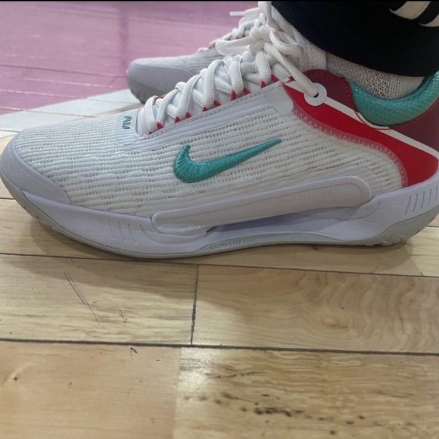 giày nike court zoom nxt 'white habanero red washed teal' dh0219-136