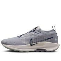 giày nike pegasus trail 5 gore-tex 'cement grey' fq0908-006