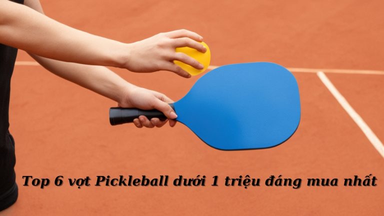 vợt Pickleball dưới 1 triệu