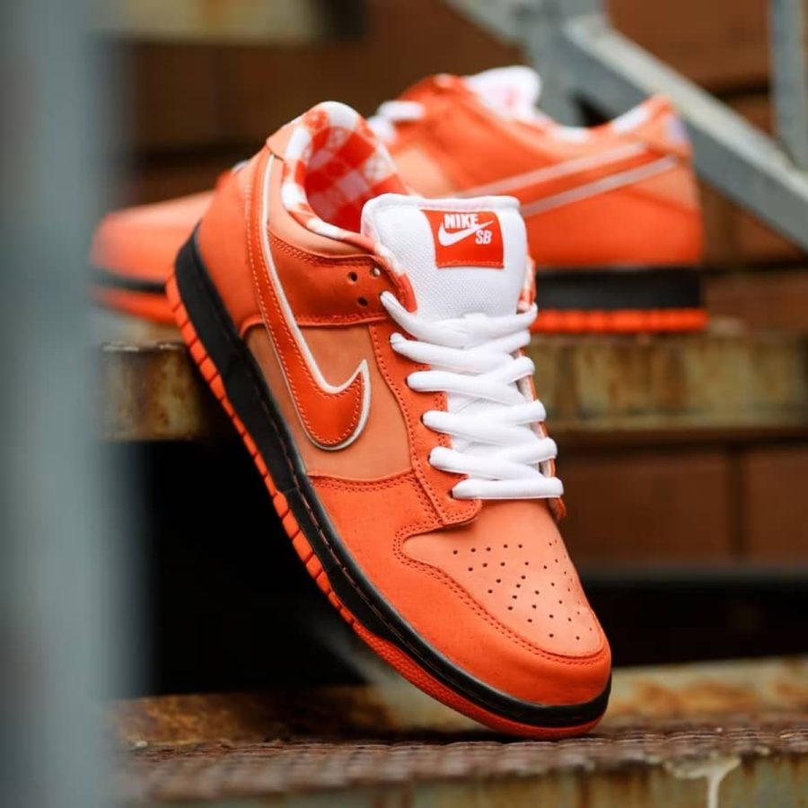 giày nike sb dunk low 'concepts orange lobster' fd8776-800