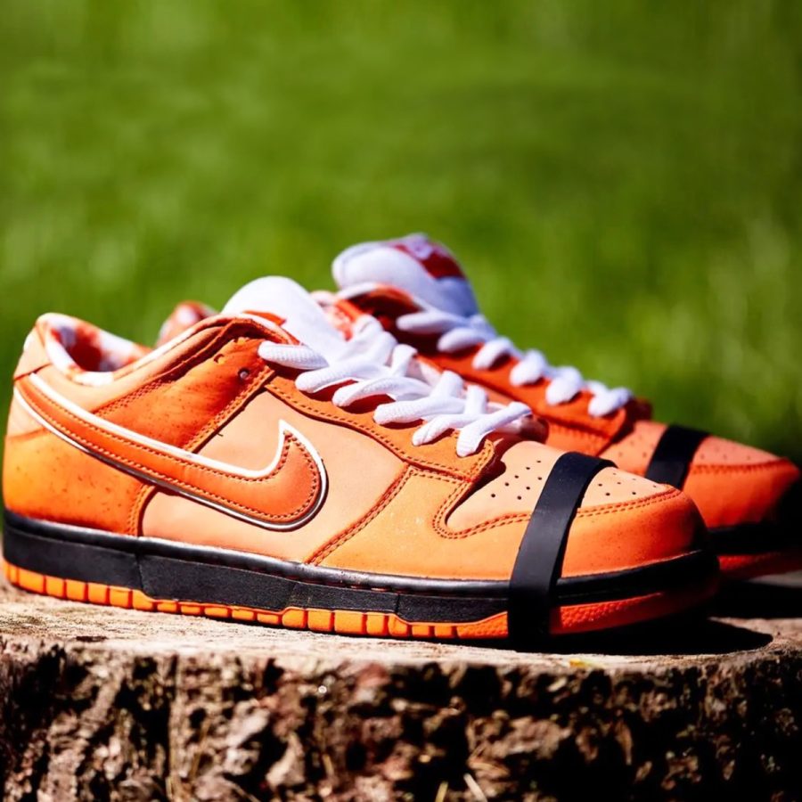 giày nike sb dunk low 'concepts orange lobster' fd8776-800