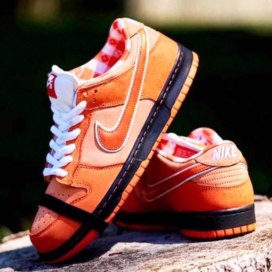 giày nike sb dunk low 'concepts orange lobster' fd8776-800