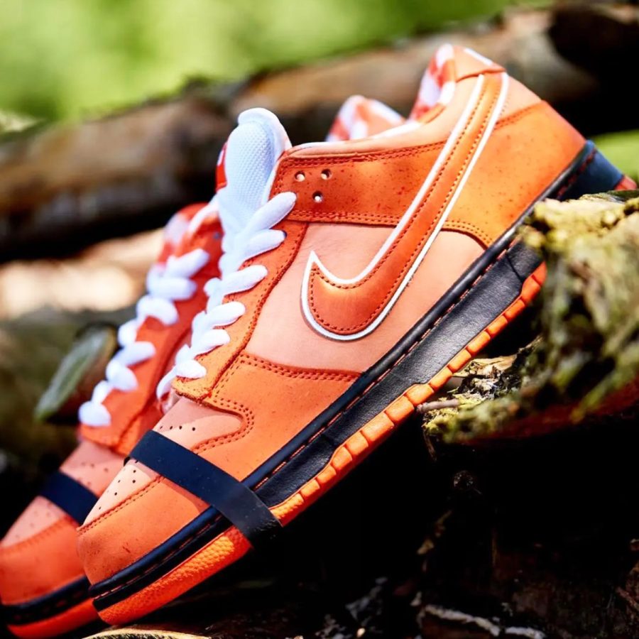 giày nike sb dunk low 'concepts orange lobster' fd8776-800