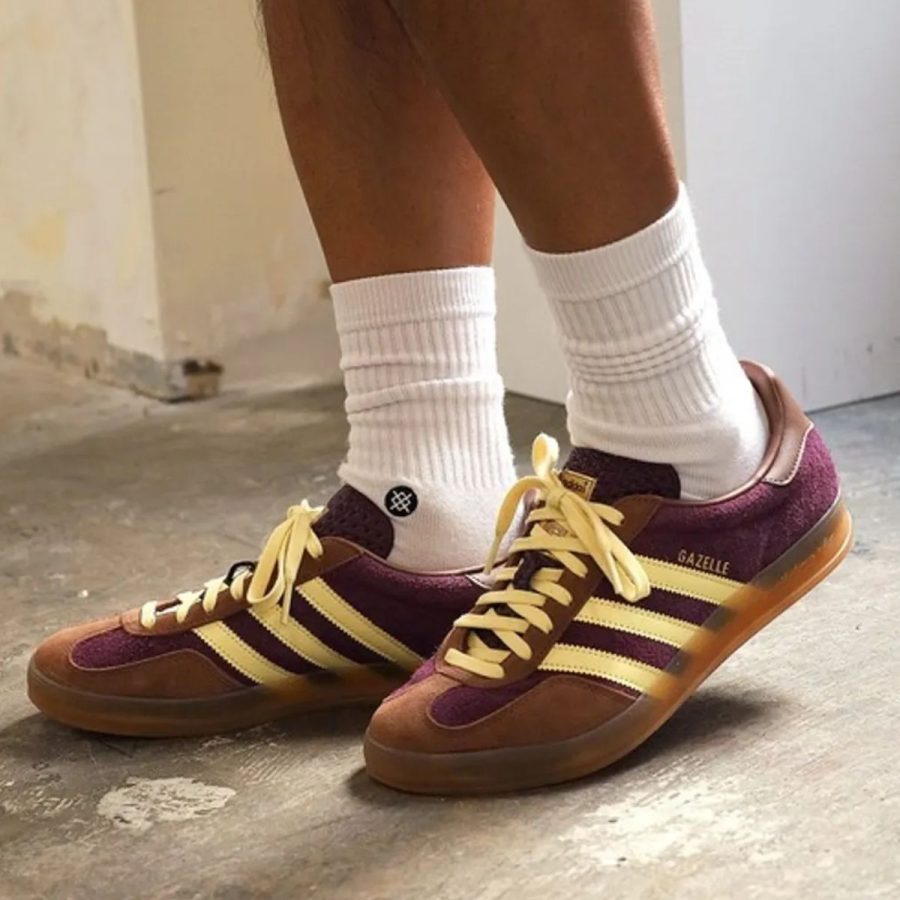 giày adidas gazelle indoor 'maroon almost yellow' ji0324