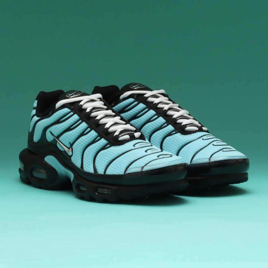 giày nike air max plus 'aqua silver' cv8838-400