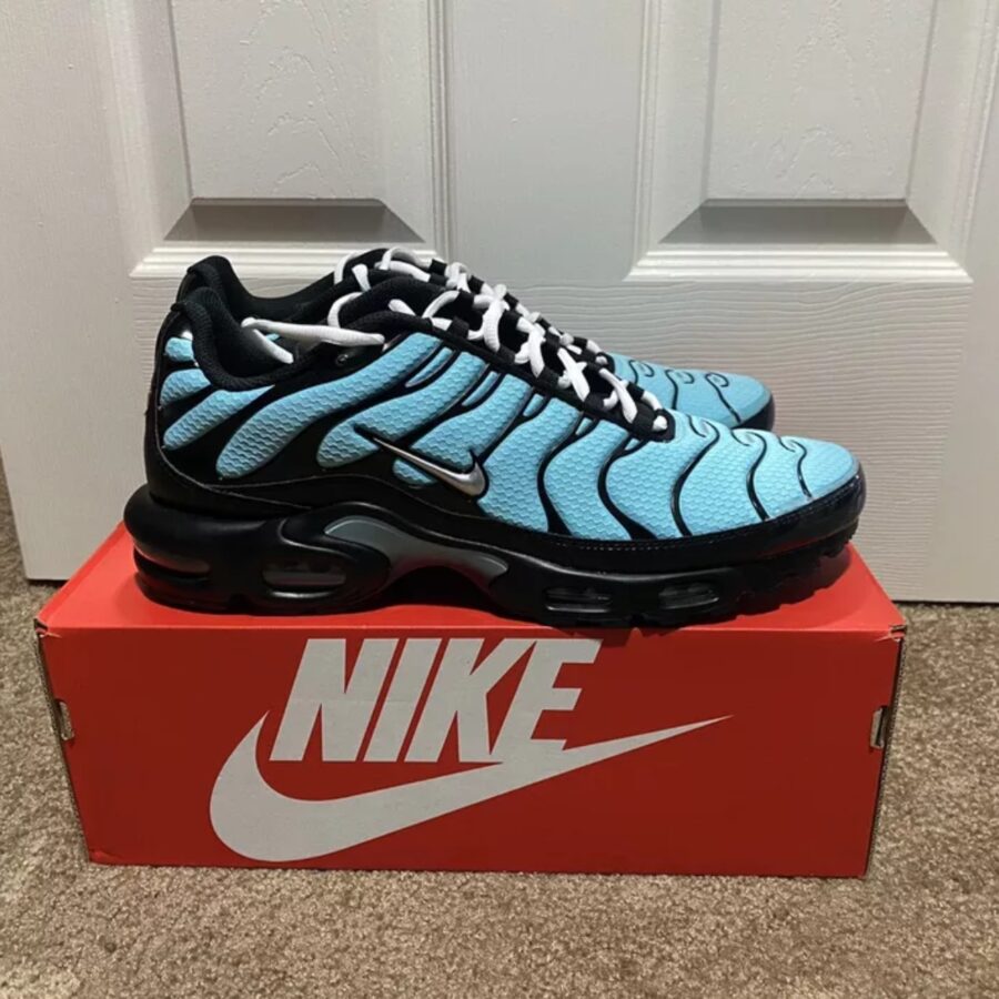 giày nike air max plus 'aqua silver' cv8838-400