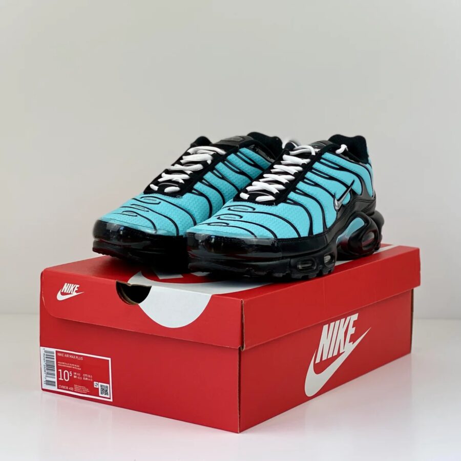 giày nike air max plus 'aqua silver' cv8838-400