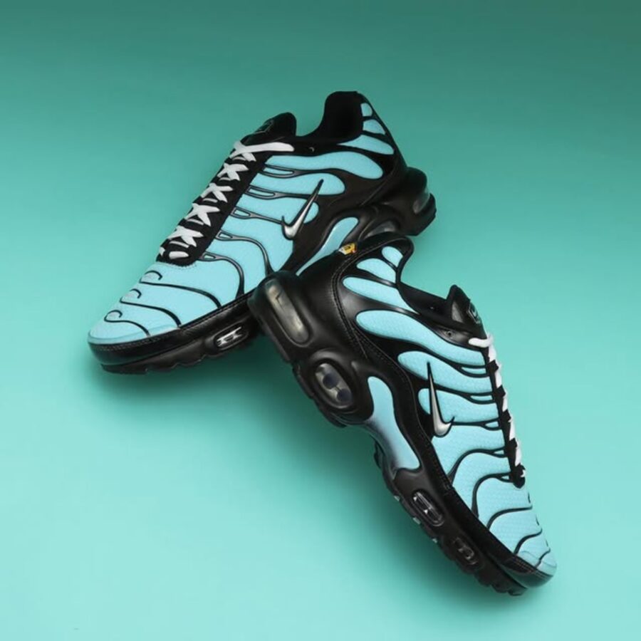 giày nike air max plus 'aqua silver' cv8838-400