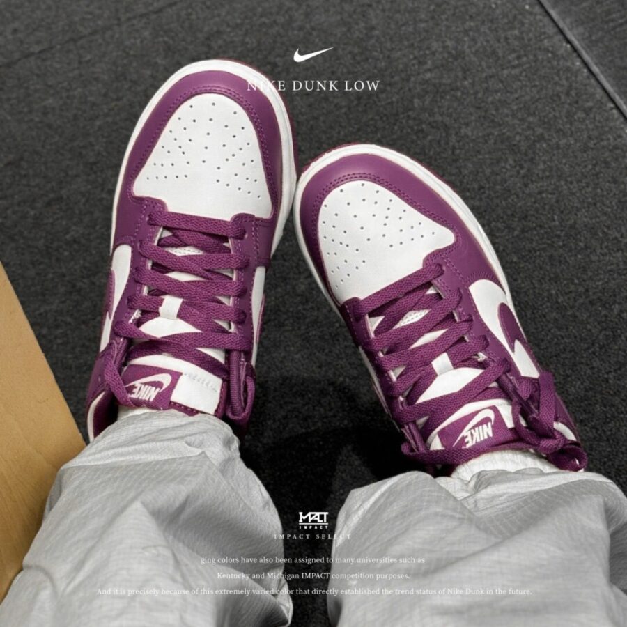 giày nike dunk low 'viotech white' dv0833-107