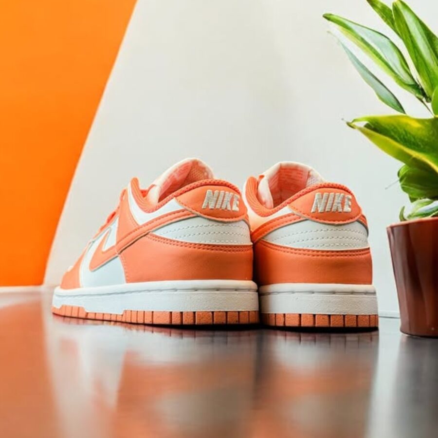 giày nike dunk low next nature 'light wild mango' dd1873-109