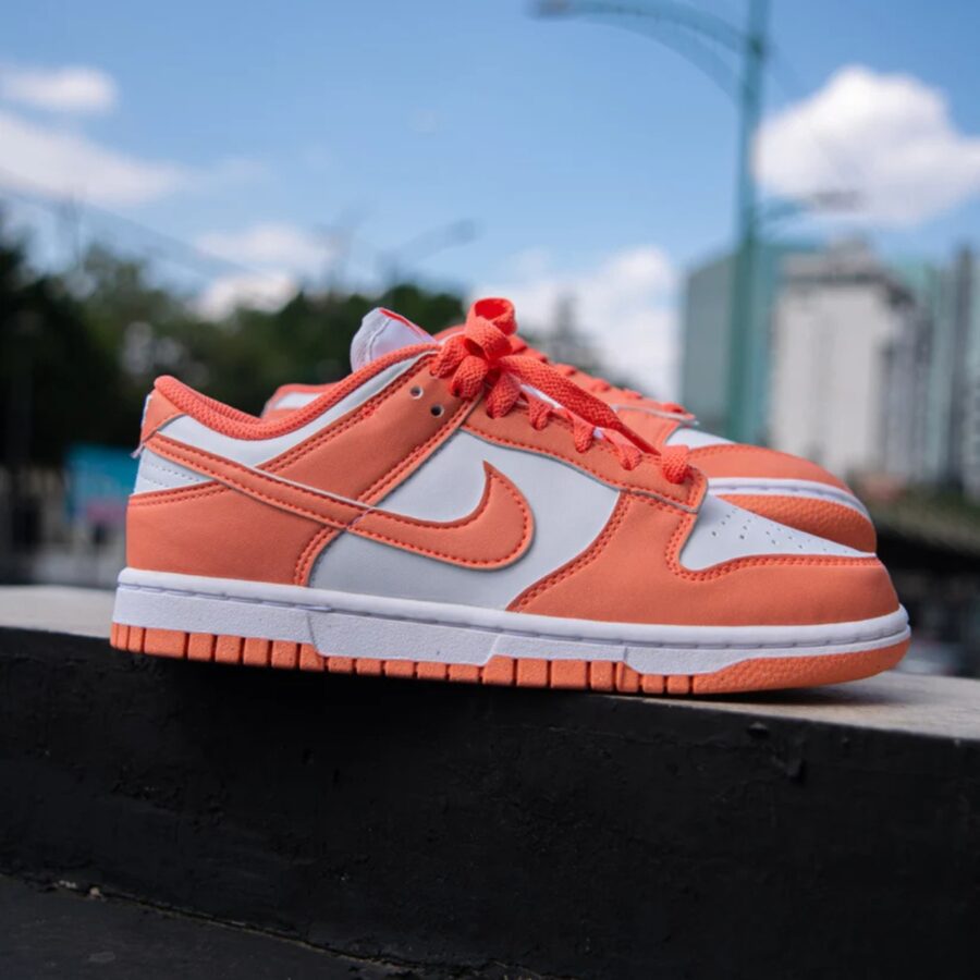 giày nike dunk low next nature 'light wild mango' dd1873-109