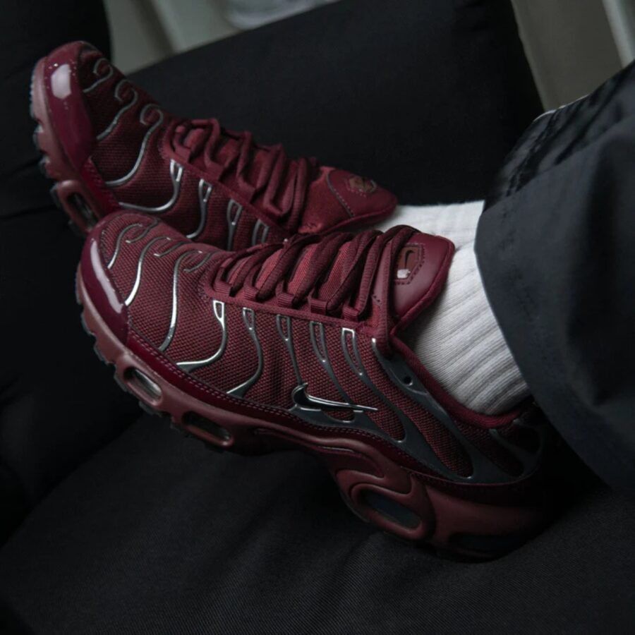 giày nike air max plus se 'night maroon & metallic silver' hj9743-600