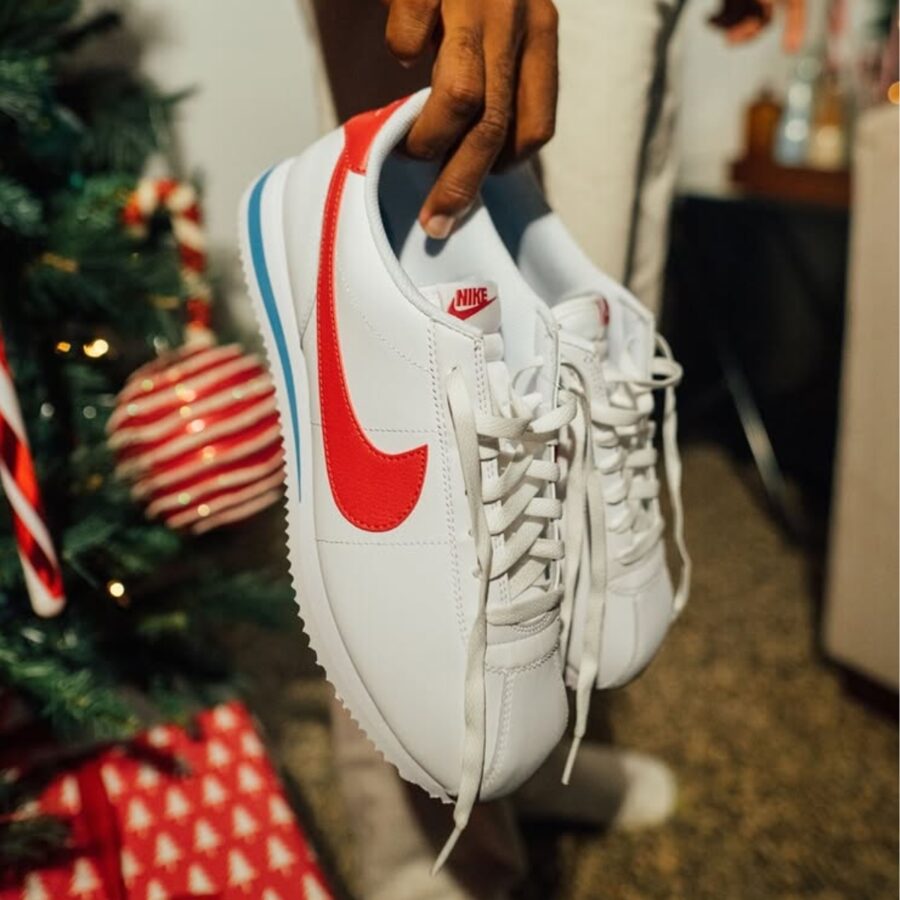 giày nike cortez 'forrest gump' dm4044-108