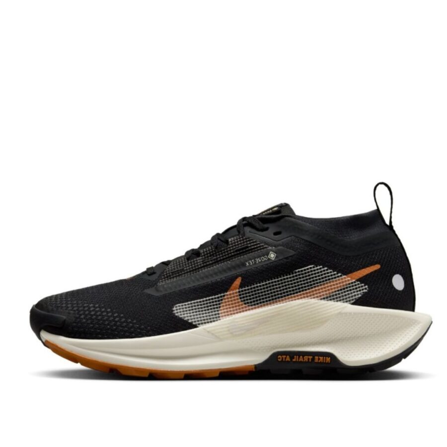 giày nike pegasus trail 5 gore-tex waterproof trail in black fq0912-005