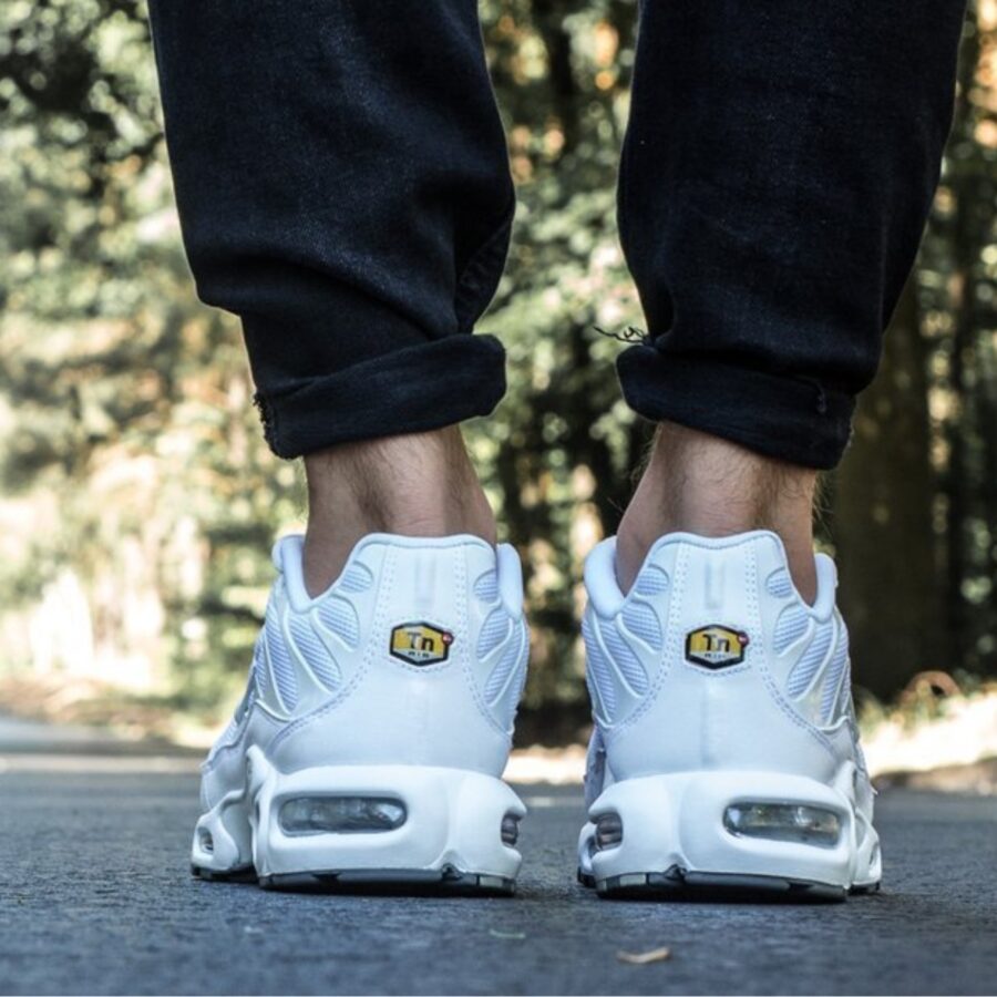 giày nike air max plus 'white' 604133-139
