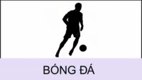 Bóng đá