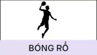 Bóng rổ
