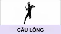 Cầu lông