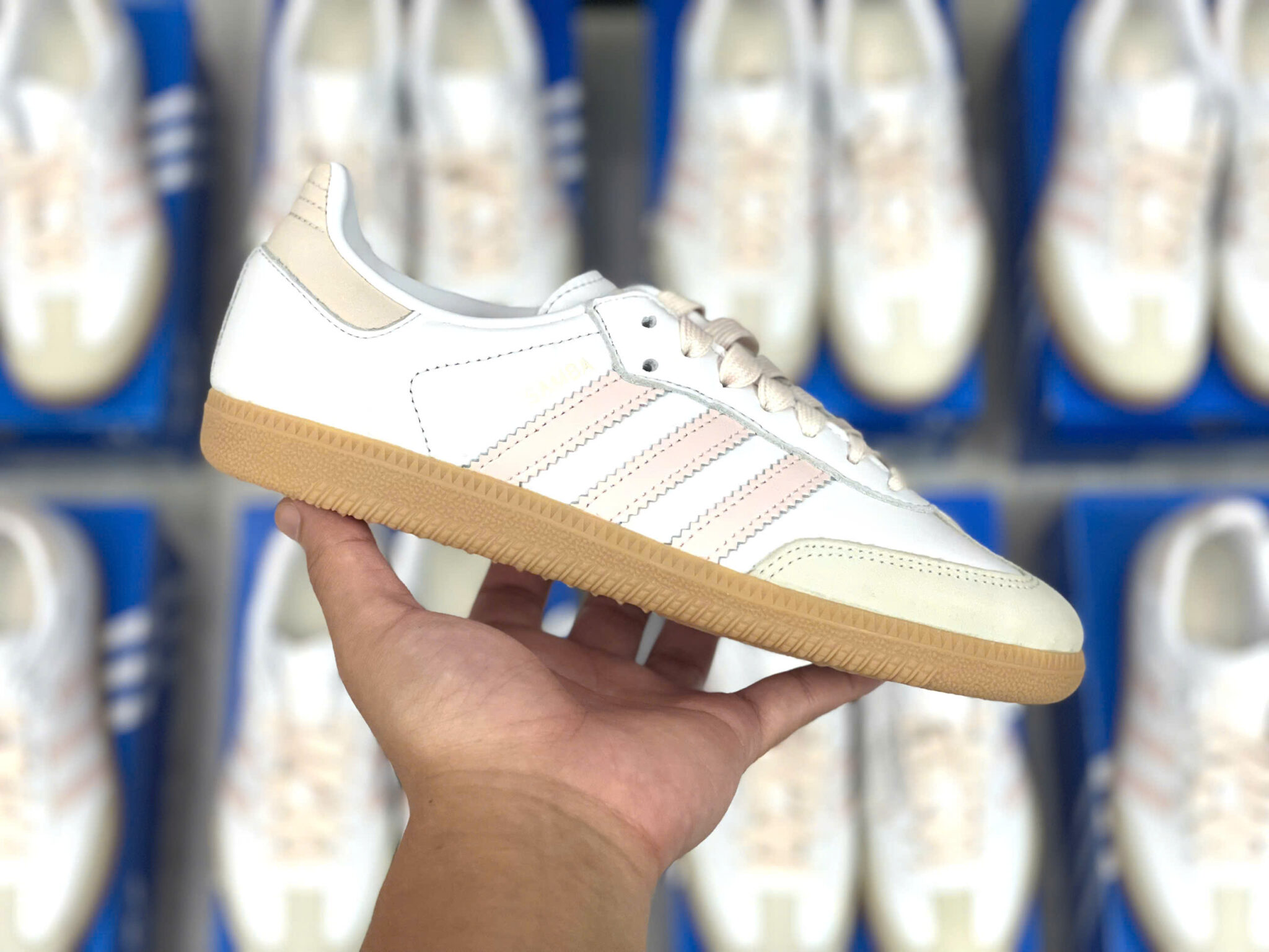 z7166910852231_e3be9c8dcff73712d0e8f122c79e58a7 giày adidas samba og ‘cloud white’ js1351