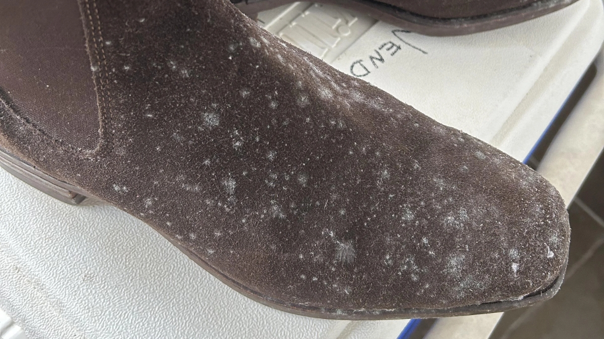 cách vệ sinh giày da lộn bị mốc và ngăn ngừa cách vệ sinh giày da lộn bị mốc và ngăn ngừa